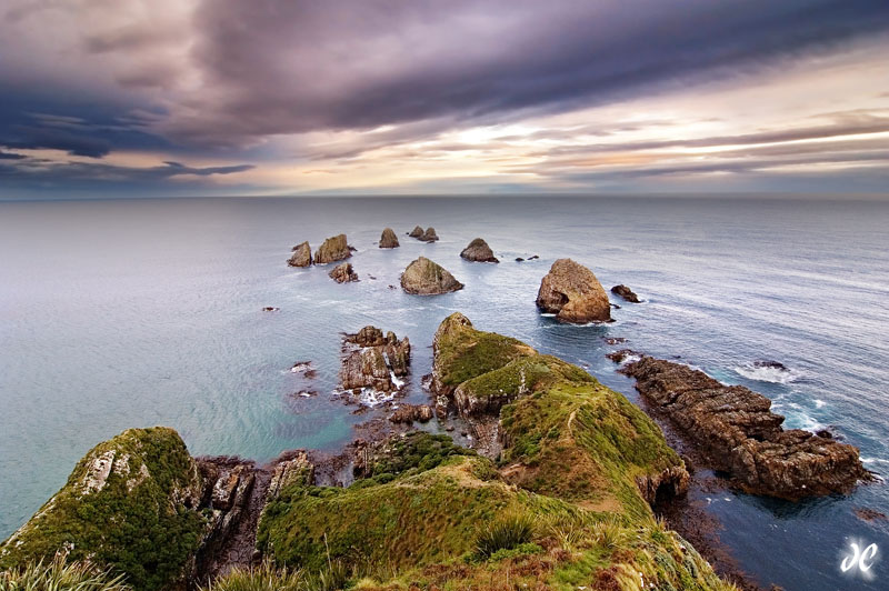 Nugget Point Nugget Point sunset, The Catlins, New Zealand