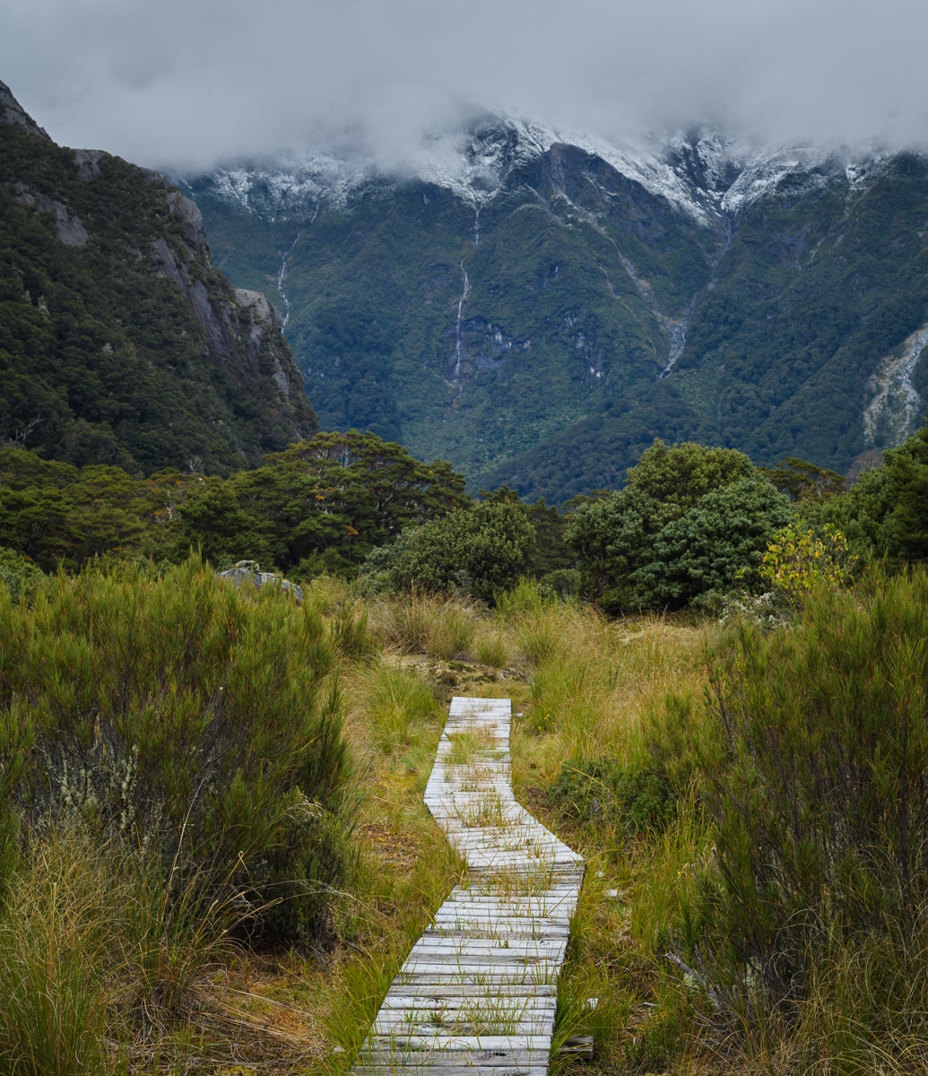 A beautiful and fun bit of trail in the north Wilkin valley.